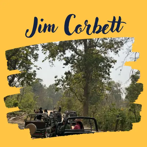 Amazing Jim Corbett Trip with Yuven Travel’s Best Deals!!!